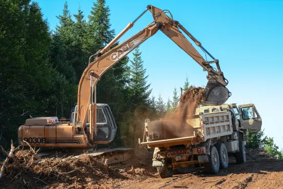 ロックベット カジノ サポート
